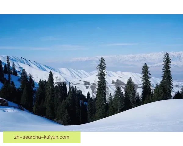 冬季奥运会：冰雪之上的激情与梦想，凝聚全球力量展现体育精神